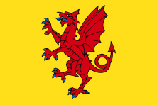 Somerset flag